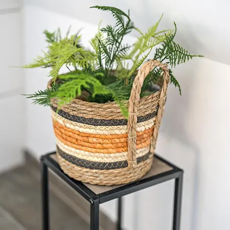 Apartmán Rebstock Bahlingen (Emmendingen)
